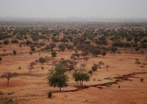 Nigerian landscape